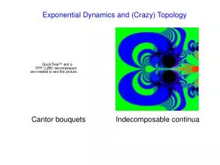 Exponential Dynamics and (Crazy) Topology