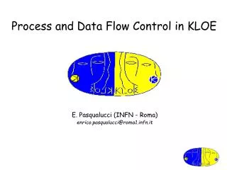 Process and Data Flow Control in KLOE