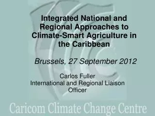 Carlos Fuller International and Regional Liaison Officer