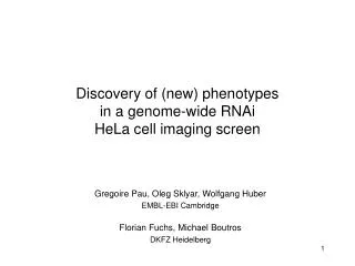 Discovery of (new) phenotypes in a genome-wide RNAi HeLa cell imaging screen