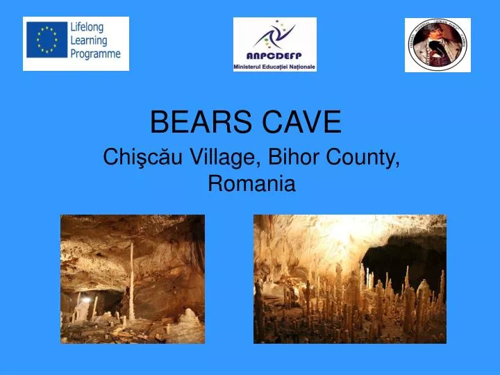 bears cave