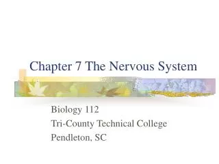 Chapter 7 The Nervous System