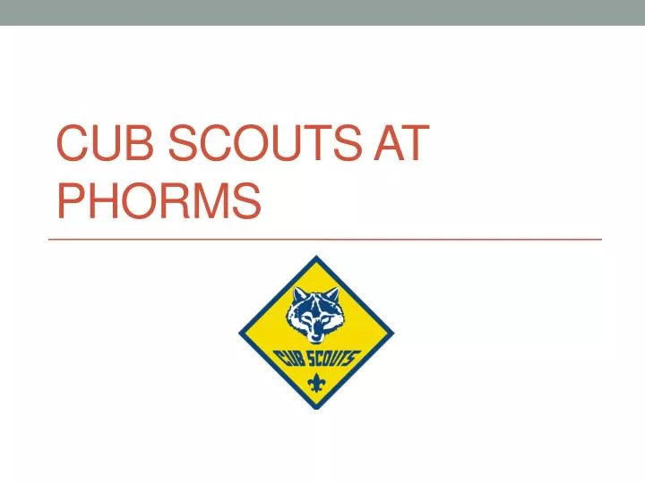 cub scouts at phorms