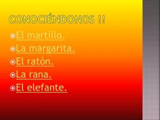 conoci ndonos