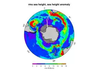 rms sea height, sea height anomaly