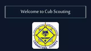 Welcome to Cub Scouting