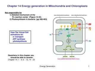 Chapter 14 Energy generation in Mitochondria and Chloroplasts