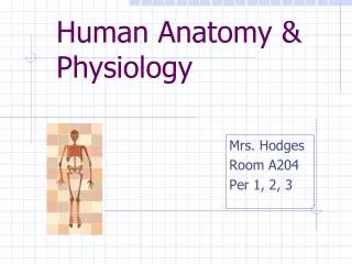 Human Anatomy &amp; Physiology