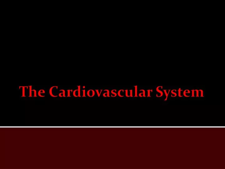 the cardiovascular system