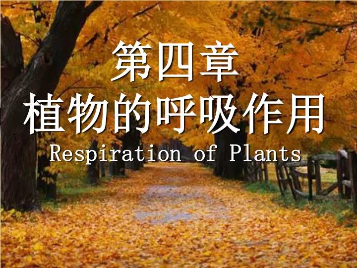 PPT - 第四章植物的呼吸作用Respiration of Plants PowerPoint