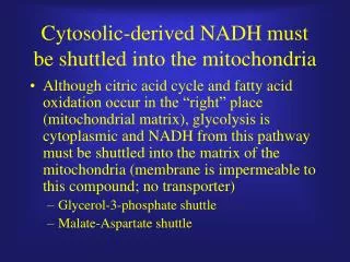Cytosolic-derived NADH must be shuttled into the mitochondria