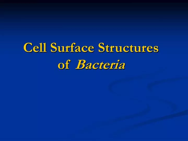 cell surface structures of bacteria