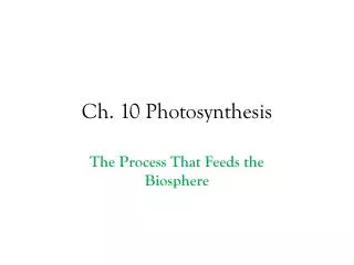 Ch. 10 Photosynthesis