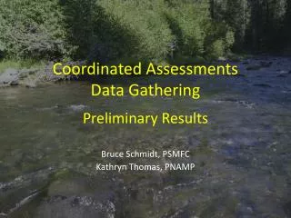 Coordinated Assessments Data Gathering