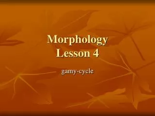 Morphology Lesson 4