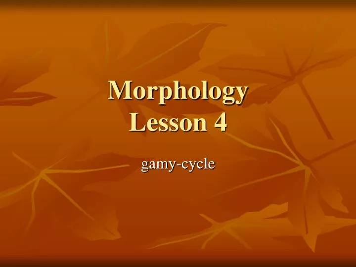 morphology lesson 4
