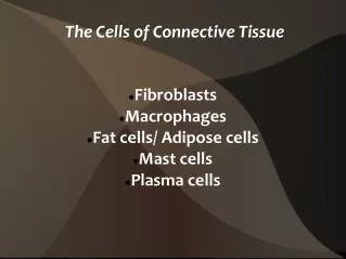 The Cells of Connective Tissue