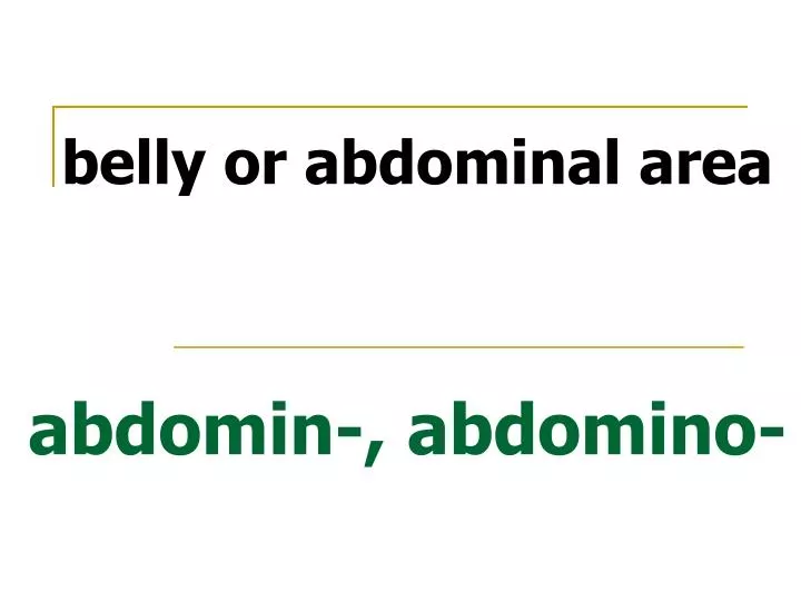 abdomin abdomino