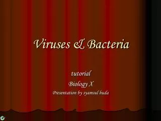 viruses bacteria