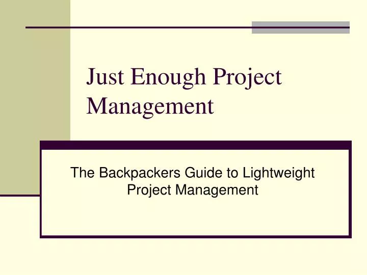 just enough project management