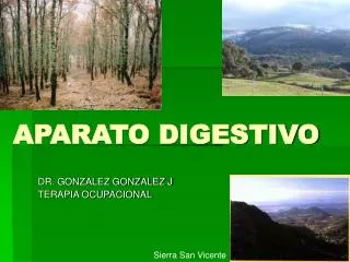 aparato digestivo