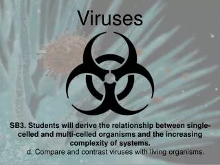 Viruses