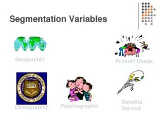 Segmentation Variables