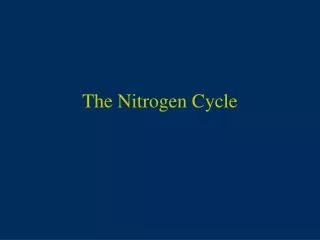 The Nitrogen Cycle