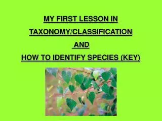MY FIRST LESSON IN TAXONOMY/CLASSIFICATION AND HOW TO IDENTIFY SPECIES (KEY)