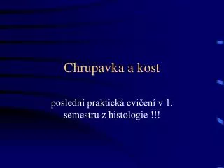 chrupavka a kost