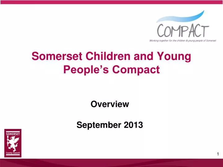 somerset children and young people s compact