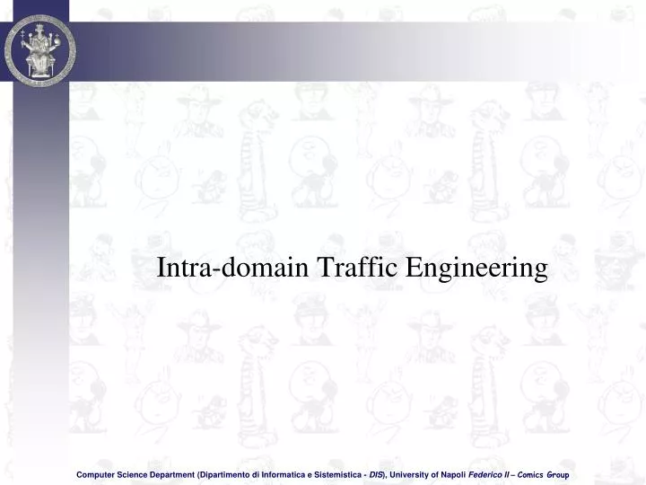 intra domain traffic engineering