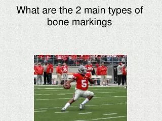 What are the 2 main types of bone markings