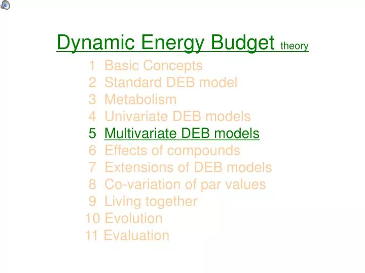 dynamic energy budget theory