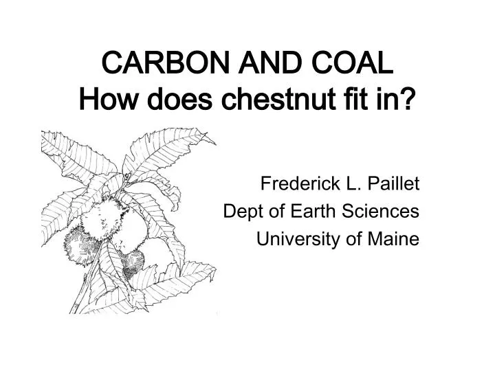 carbon and coal how does chestnut fit in