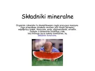 sk adniki mineralne