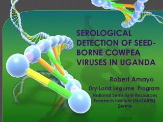 SEROLOGICAL DETECTION OF SEED-BORNE COWPEA VIRUSES IN UGANDA