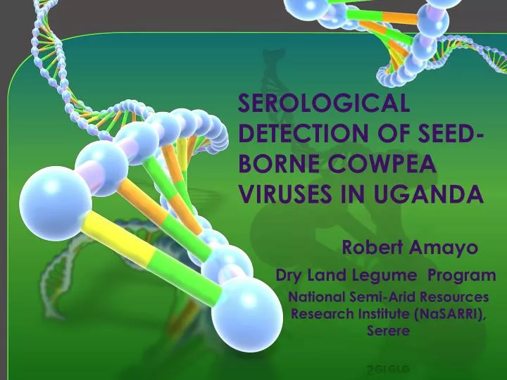 serological detection of seed borne cowpea viruses in uganda