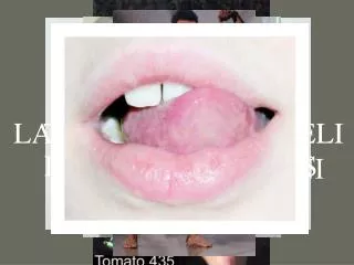 tom ti