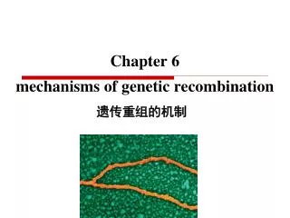 chapter 6 mechanisms of genetic recombination
