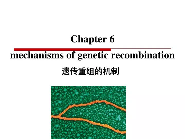 chapter 6 mechanisms of genetic recombination