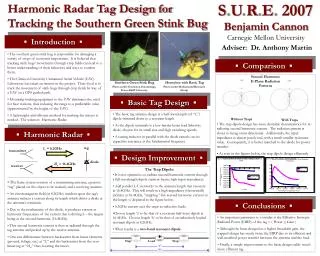 Harmonic Radar Tag Design for Tracking the Southern Green Stink Bug