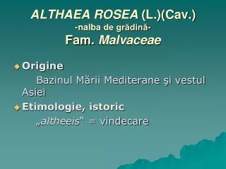 ALTHAEA ROSEA (L.)(Cav.) - nalba de grădină- Fam. Malvaceae