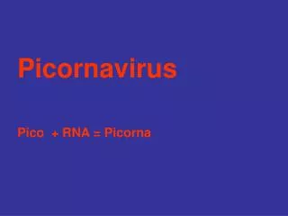 Picornavirus Pico + RNA = Picorna