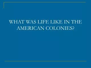WHAT WAS LIFE LIKE IN THE AMERICAN COLONIES?