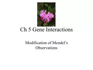 Ch 5 Gene Interactions