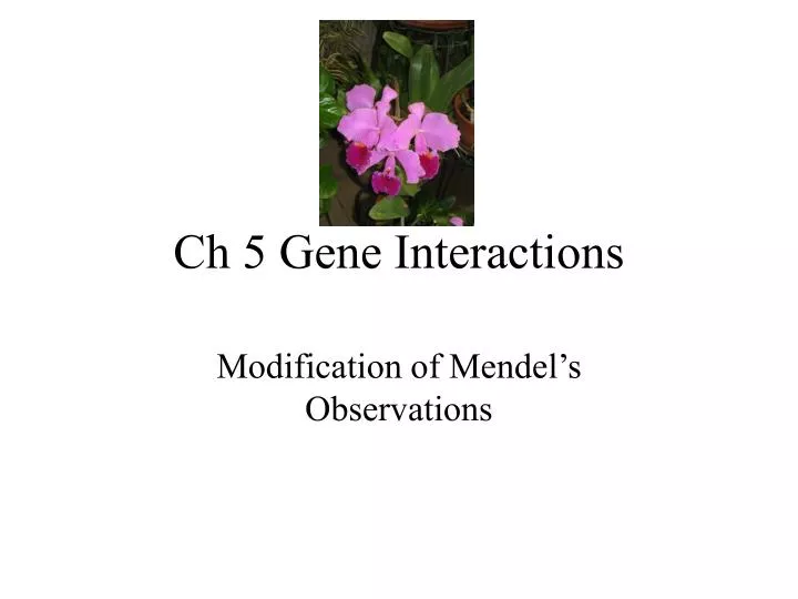 ch 5 gene interactions