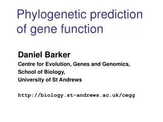 Phylogenetic prediction of gene function