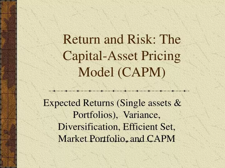 return and risk the capital asset pricing model capm