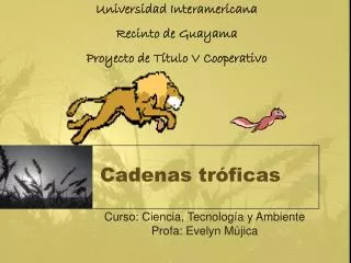 cadenas tr ficas